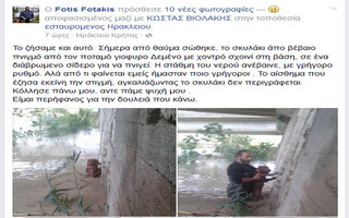 diasosi-skylou diasosi-skylou