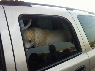 driving_road_31