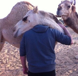 pets-excited-their-humans-are-finally-back-22-photos-15