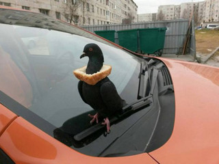 russia_where_everything_is_kinda_different_640_03