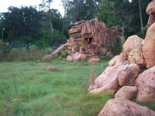 take-a-peek-into-disneys-first-water-park-13-photos-11