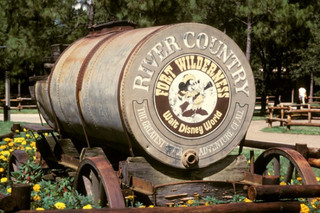 take-a-peek-into-disneys-first-water-park-13-photos-13