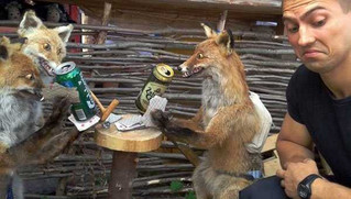 taxidermy-fails-1