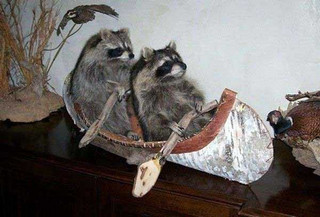 taxidermy-fails-11