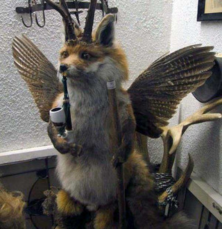 taxidermy-fails-30