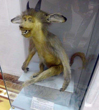 taxidermy-fails-33