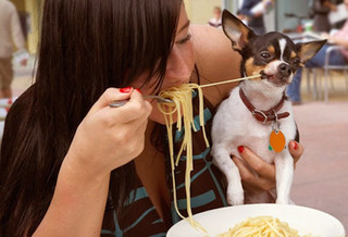 these-animals-are-struggling-with-people-food-19-photos-10