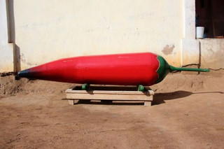 Awesome-shaped-coffins-13