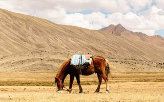 andes_peru2