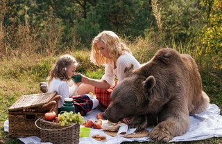 bear_picnic_incredible_photographs_04