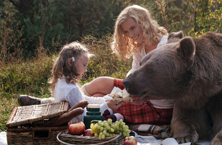 bear_picnic_incredible_photographs_06