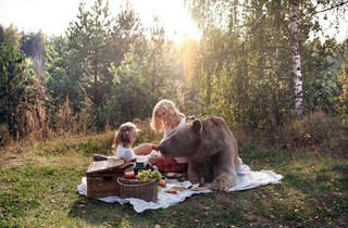 bear_picnic_incredible_photographs_11