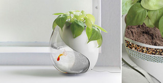 creative-flower-planters-7__880