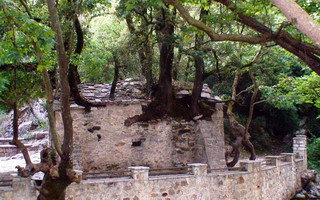 eklhsia5