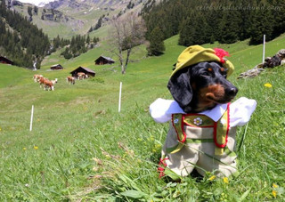 meet_crusoe_07