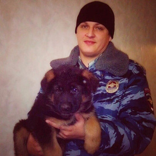 puppy-Russian-poli_3506590b