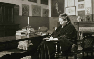 stein