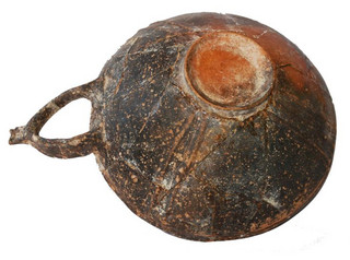 Fig1 Fig1
