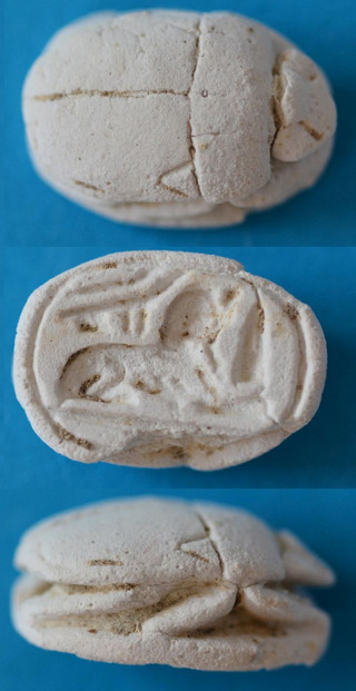 Fig2 Fig2