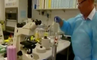 agoirmansw4 agoirmansw4