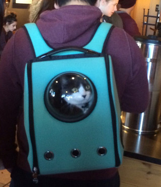 astronaut-pet-bubble-carrier-upet-1