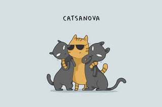 cats (4)