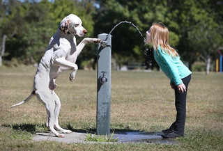 growing-up-with-pets-should-be-mandatory-10