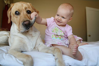 growing-up-with-pets-should-be-mandatory-14