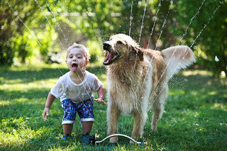 growing-up-with-pets-should-be-mandatory-17