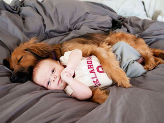 growing-up-with-pets-should-be-mandatory-25-photos-26