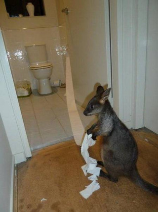 life_in_australia_is_like_nowhere_else_in_the_world_640_16