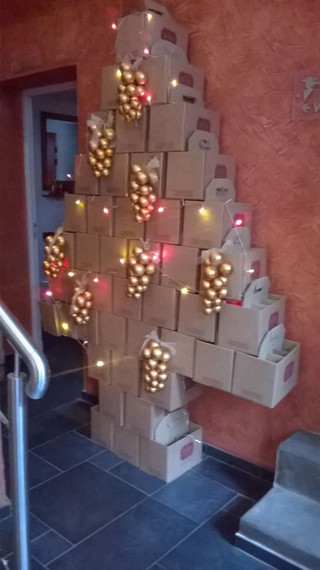 no-christmas-tree-no-worries-photos-10