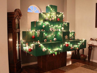 no-christmas-tree-no-worries-photos-321