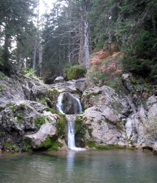 pauliani3