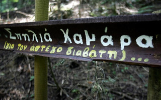 pauliani4