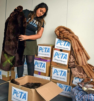 peta01