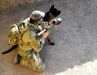 powerful-moments-of-dogs-at-war-78