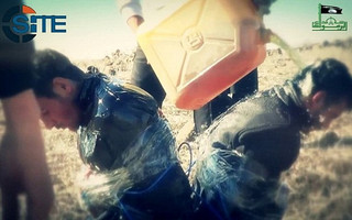 syriiasdbnab1 syriiasdbnab1