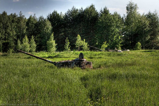 tanks_taken_nature_06