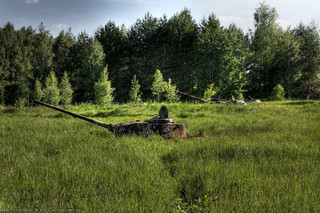 tanks_taken_nature_06