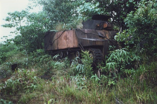 tanks_taken_nature_11