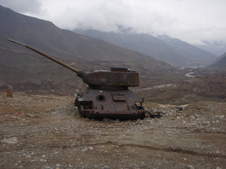 tanks_taken_nature_17