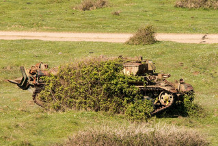 tanks_taken_nature_29