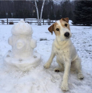 these_snow_sculptures_will_blow_your_mind_640_06