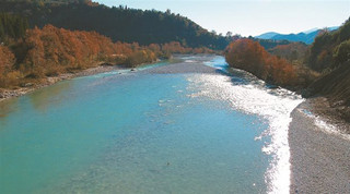 tzoum08