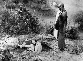 zebrasfag6 zebrasfag6