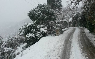 ΣΚΟΠΕΛΟΣ ΧΙΟΝΙΑ ΣΚΟΠΕΛΟΣ ΧΙΟΝΙΑ