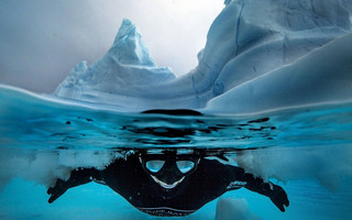 Antarctic1