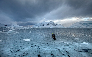 Antarctic2