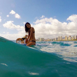 a-one-eyed-surfing-cat-lives-the-absolute-life-in-hawaii-10-photos-10